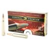 Federal Premium Ammunition boasts world-class performance. 300 Winchester Magnum 180 Grain Nosler Partition in a box of 20, designed for precision accuracy and reliability.