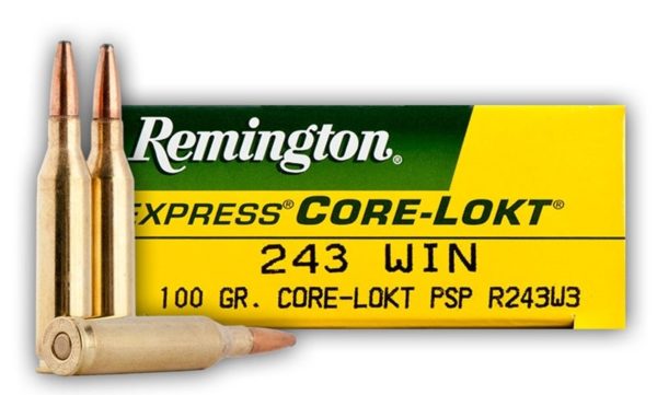 Remington Core-Lokt Ammunition 243