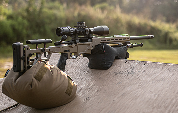 DELTA 5 PRO rifle with customizable features and precision engineering.