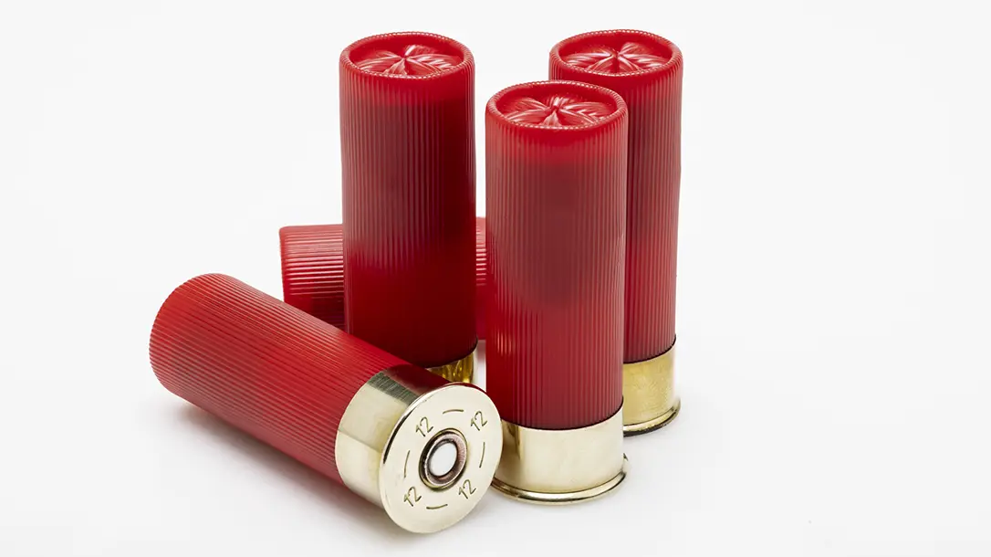 Shotgun Ammunition