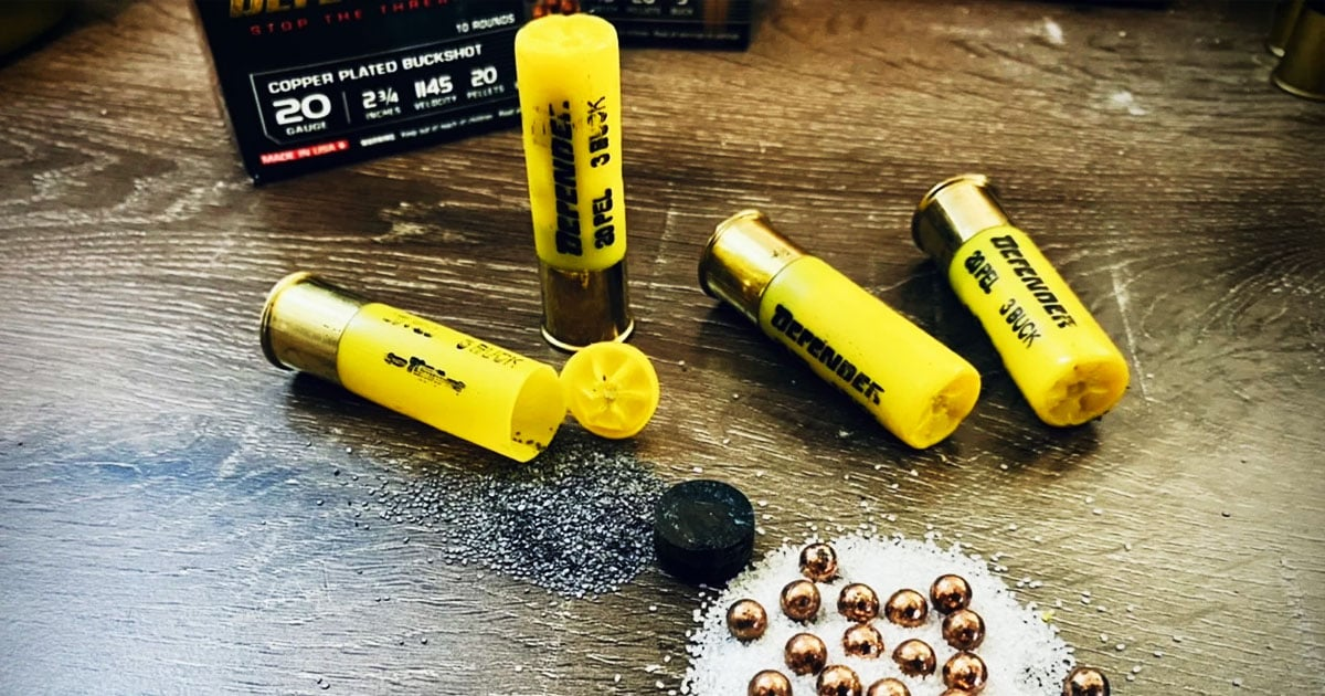 20 Gauge