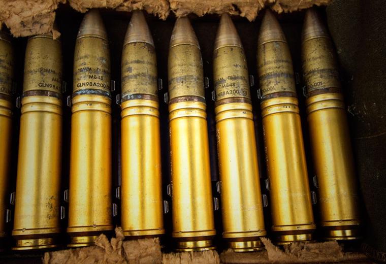 A row of polished brass cartridges standing upright